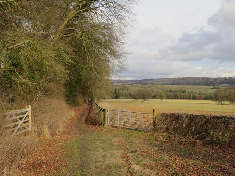 Pete's Walks Pitstone Hill and Wigginton (page 3 of 4)